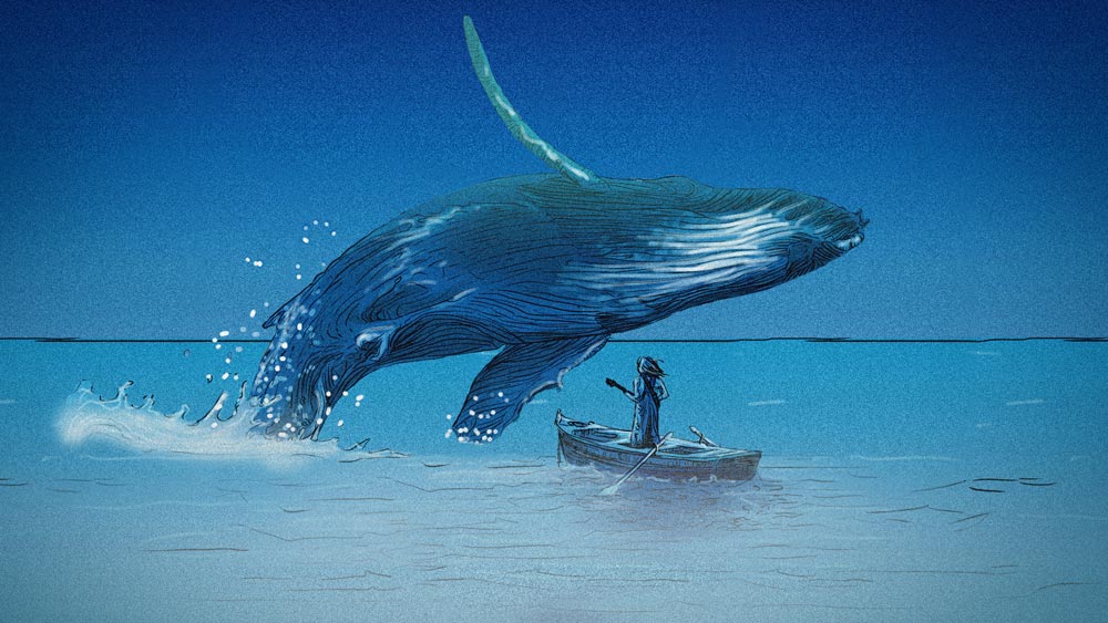 Whalien 52